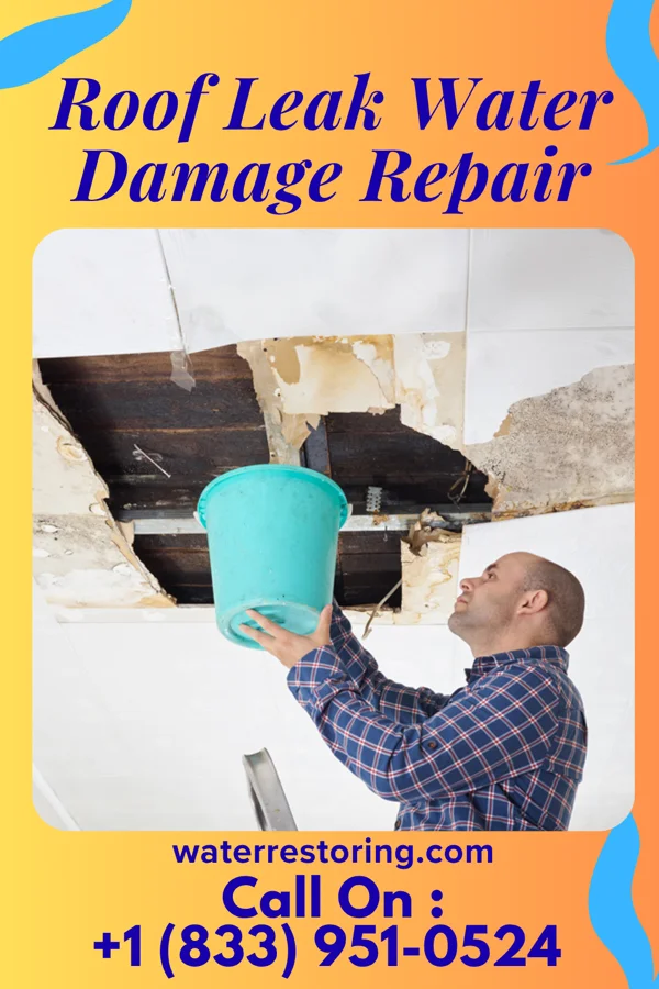 Roof Leak Water Damage Repair in Canova, NM