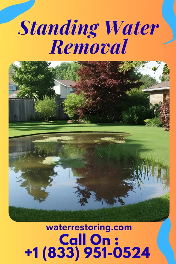 Standing Water Removal in Canova, NM